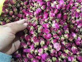 غنچه درجه یک لاله زار